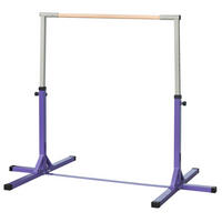 GYMNASTIK-TURNRECK, Reckstange, 13-stufig verstellbar, bis 75 kg belastbar, Lila - Violett, Metall (121/194cm) - HOMCOM