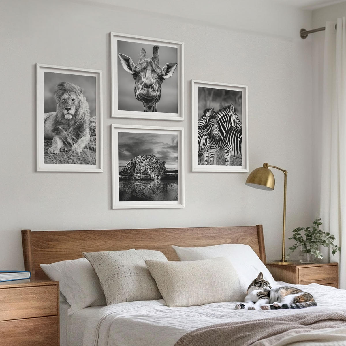 BILDER SET 4er Set - 50x50 cm & 40x60 cm Weißer Rahmen - Wildtiere Löwe Jaguar Giraffe Zebras - Weiß, Kunststoff (50/50cm) - TULUP