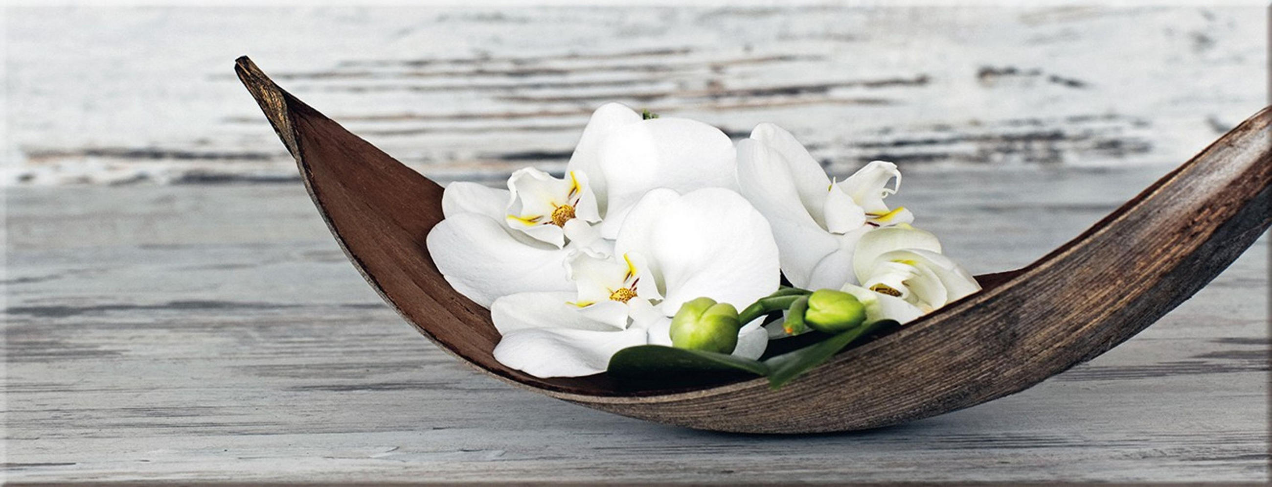 GLASBILD 80x30 cm Orchidee Weiß Grau - Anthrazit, Glas (80/30cm) - artissimo