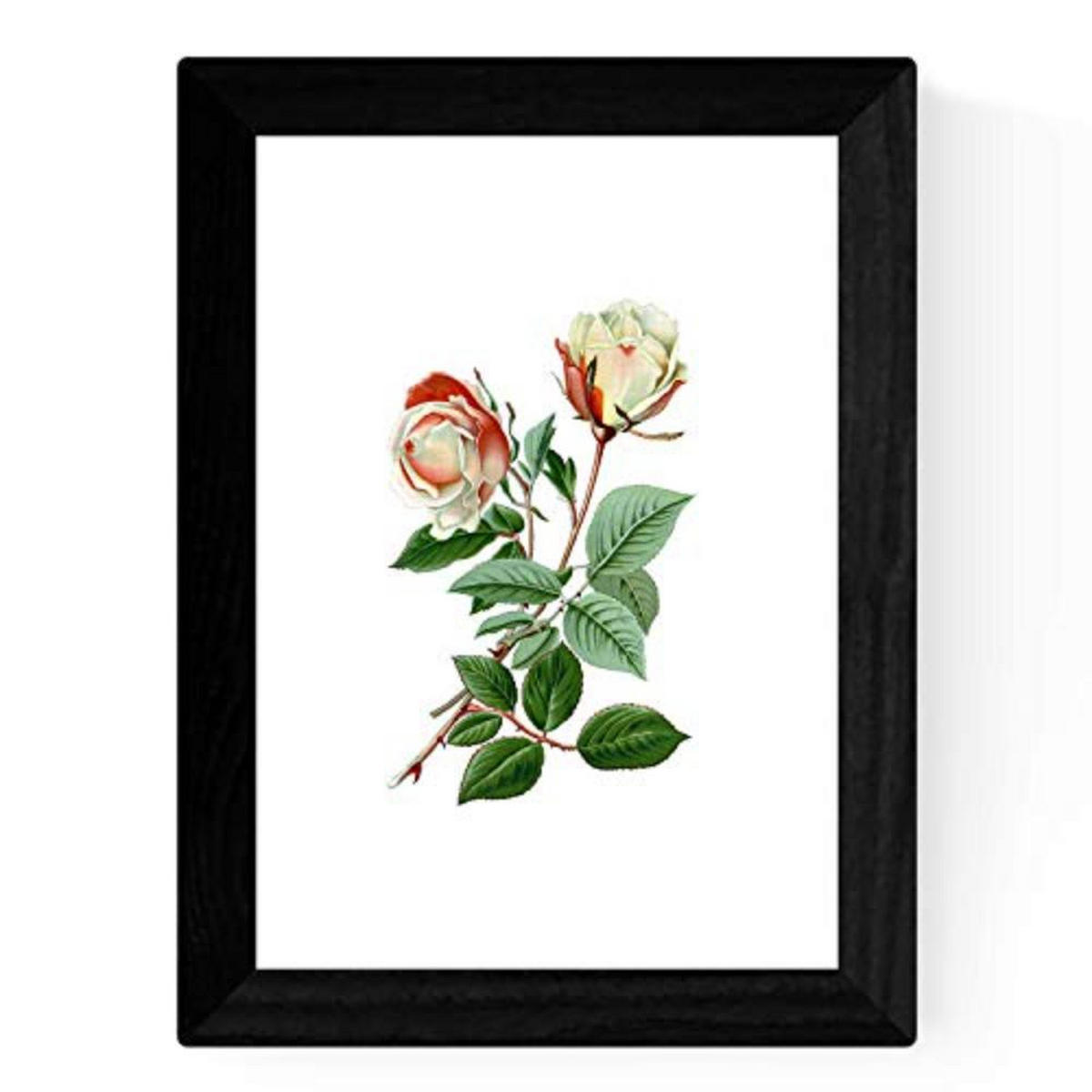 POSTER Set mit 4 Botanische Weiß Hintergrund Rosen A3 Rahmenlos - Klar, Papier (29.7/3cm) - Nacnic