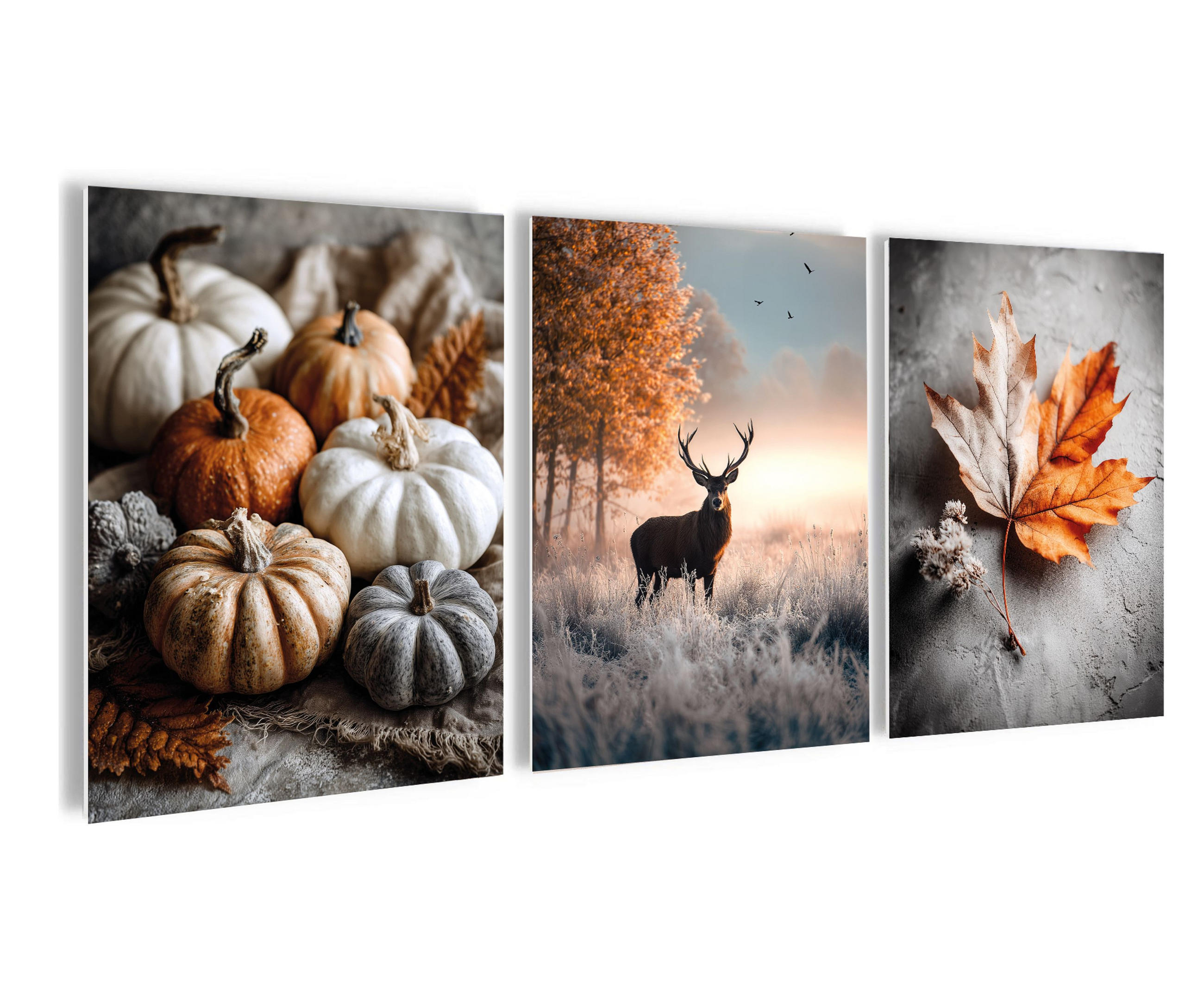 BILDERSET 3er-Set 30x40 cm Hirsch Herbst - Orange, Kunststoff (30/40cm) - artissimo