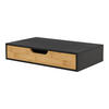 WANDREGAL Bokn - Schwarz, Holz (40/8/24cm) - [en.casa]