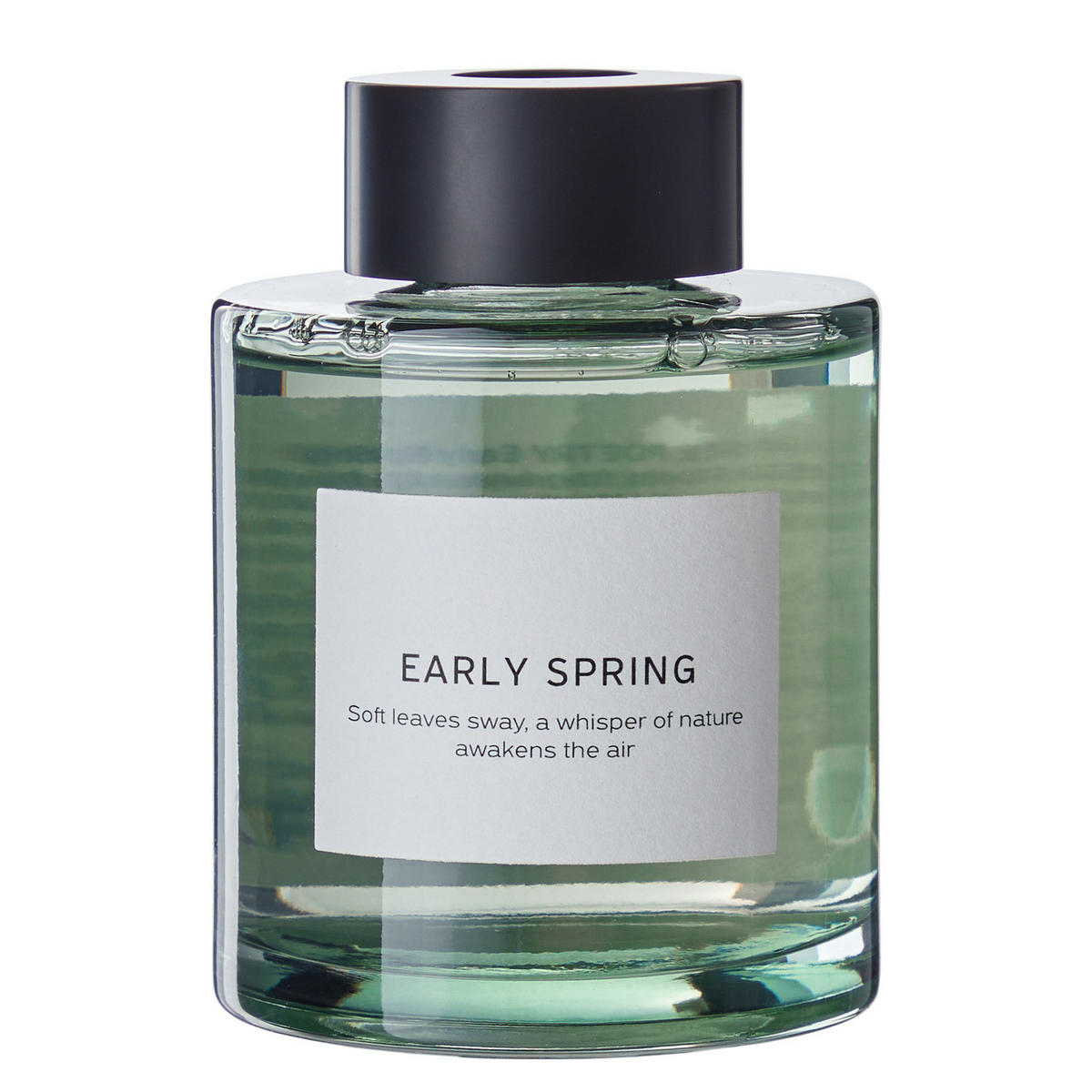 RAUMDUFT Pure Poetry Early Spring 150ml - Salbeigrün, Glas (6/20/6cm) - Butlers