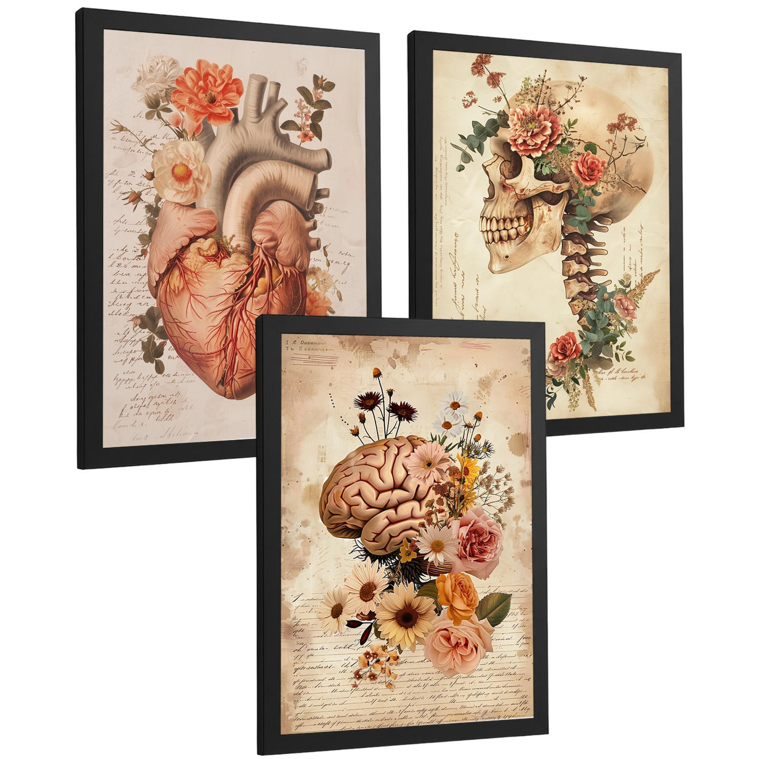 POSTER Set aus 3 Anatomie Mensch Drucke und Wandbilder mit Herz Gehirn und Schädel Vintage Floraler Stil Wanddekoration Größe Schwarzer Rahmen A3 - Schwarz, Papier (29.7/42/3cm) - Nacnic