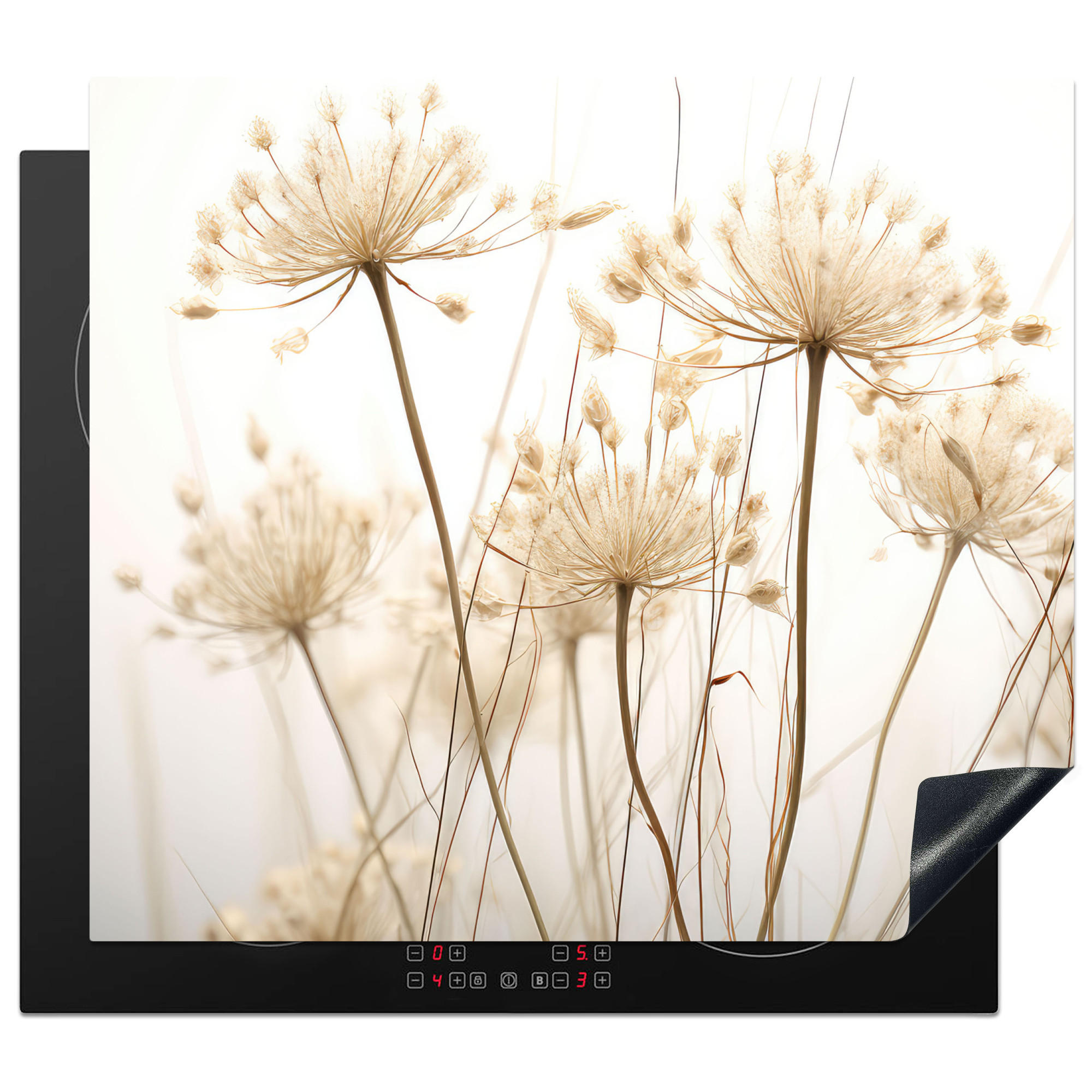 HERDABDECKPLATTE Blumen - Weiß - Sonnenlicht 59x51 cm - Ecru, Kunststoff (59/0.2/51cm) - MuchoWow