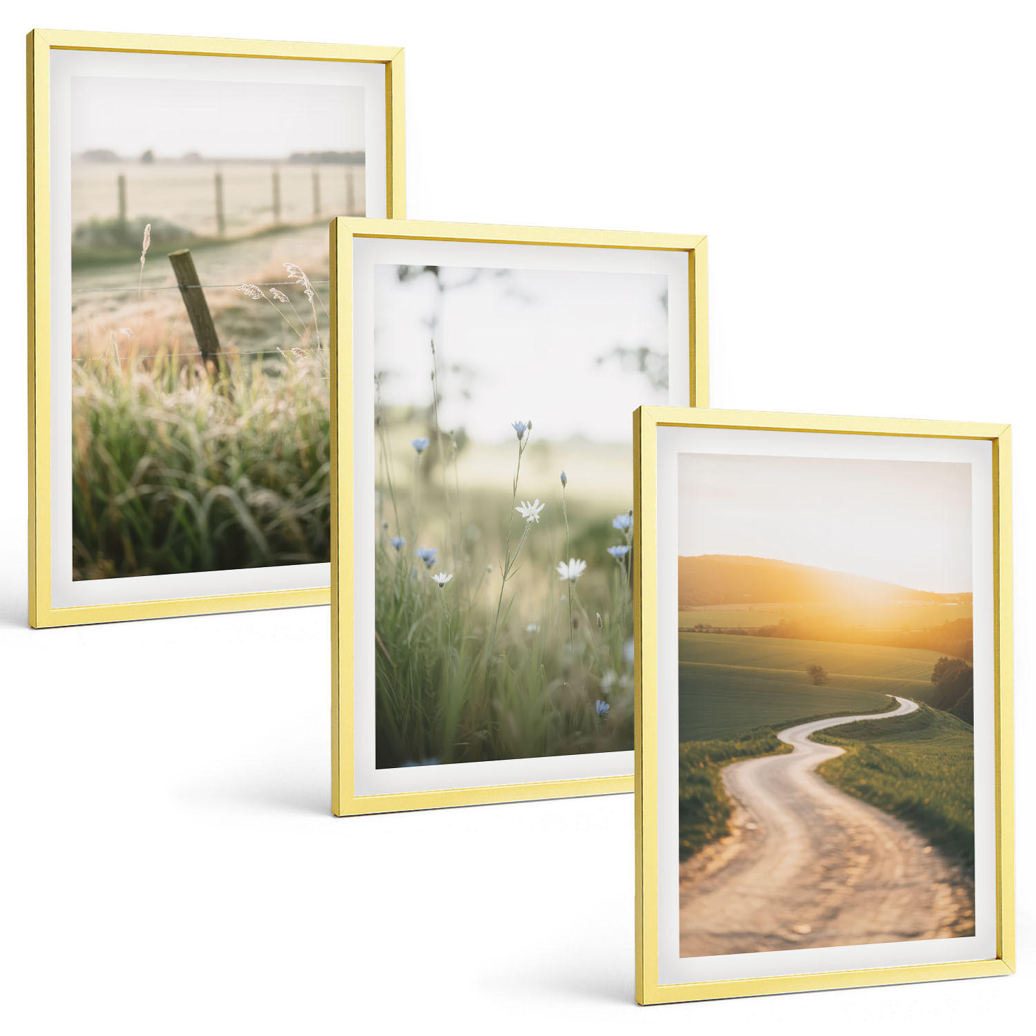 BILDER SET 3er Set - 40x60 cm Goldrahmen - Landschaftswiesenstraße West - Goldfarben, Kunststoff (40/60cm) - TULUP