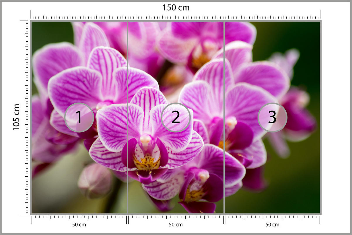 FOTOTAPETE für Wohnzimmer Violetter Orchideenstrauß Blumen 150x105 - Violett/Rosa, Papier (150/105cm) - Muralo