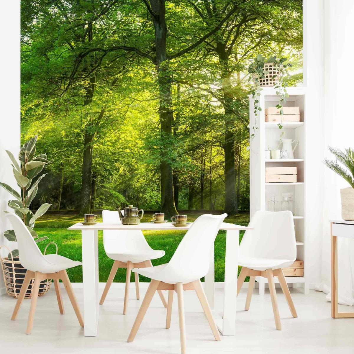 FOTOTAPETE Spaziergang im Wald 288/288 cm - Grün, Papier (288/288cm) - Bilderwelten