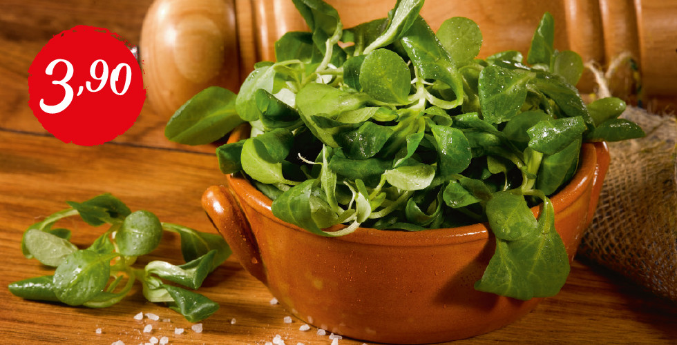 Feldsalat