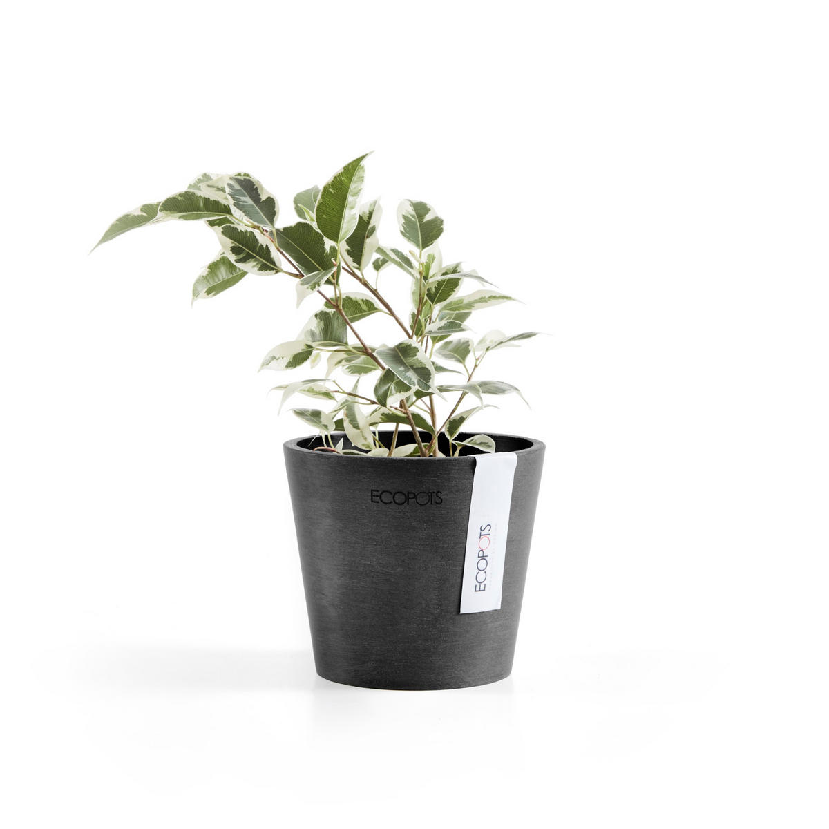 BLUMENTOPF Amsterdam 10,5/9,2 cm Dunkelgrau - Dunkelgrau, Kunststoff (10.5/9.2cm) - Ecopots