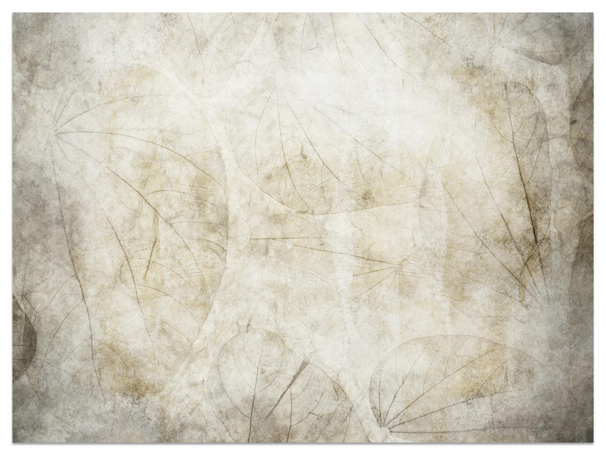FOTOTAPETE für Badezimmer Blätter Beton Abstraktion Retro 450x315 - Beige/Grau, Papier (450/315cm) - Muralo