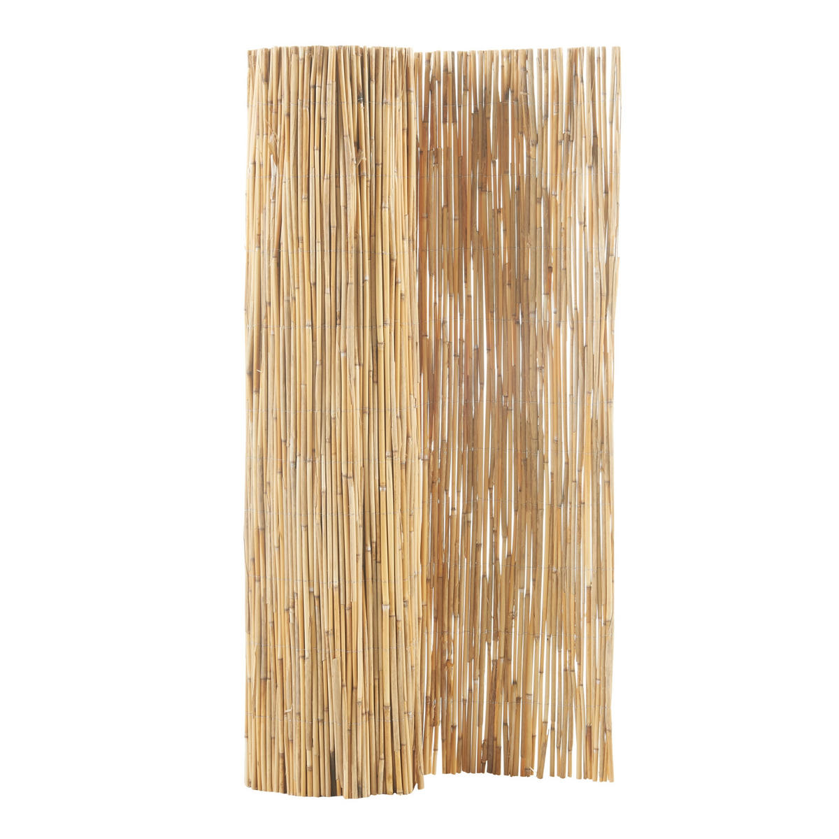 SCHILFZAUN Abbateggio - Naturfarben, Naturmaterialien (90/0.6cm) - casa.pro