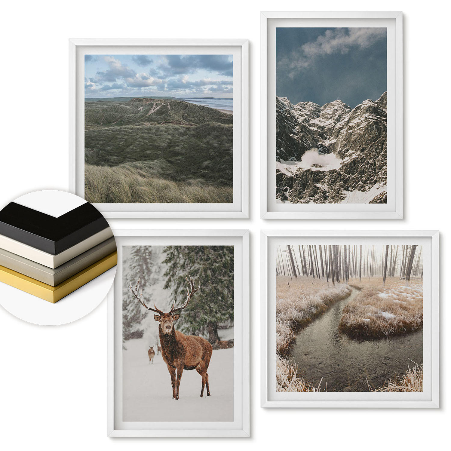 WANDBILDER 4er-Set - 50x50 cm & 40x60 cm Weißer Rahmen - Berge, Schnee, Hirsche, Waldlandschaft - Weiß, Kunststoff (50/50cm) - ArtPrintCave