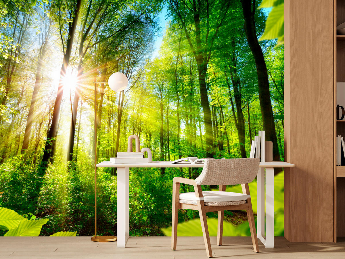 FOTOTAPETE für Wohnzimmer Sonnenaufgang zwischen Bäumen Wald 250x175 - Gelb/Grün, Papier (250/175cm) - Muralo