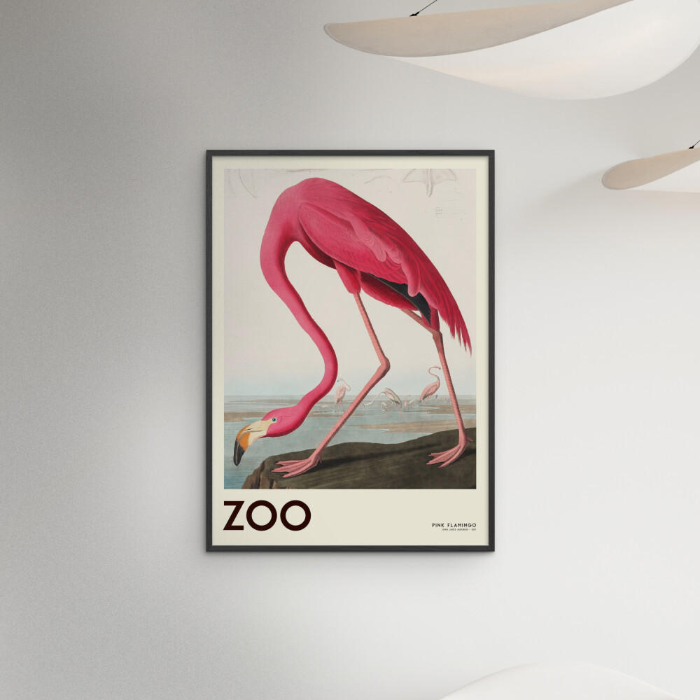 POSTER mit Rahmen A.P. Atelier - The Zoo Collection — Pink Flamingo — Edt. 001 - Pink/Schwarz, Holz/Papier (30/40cm) - Poster&Frame