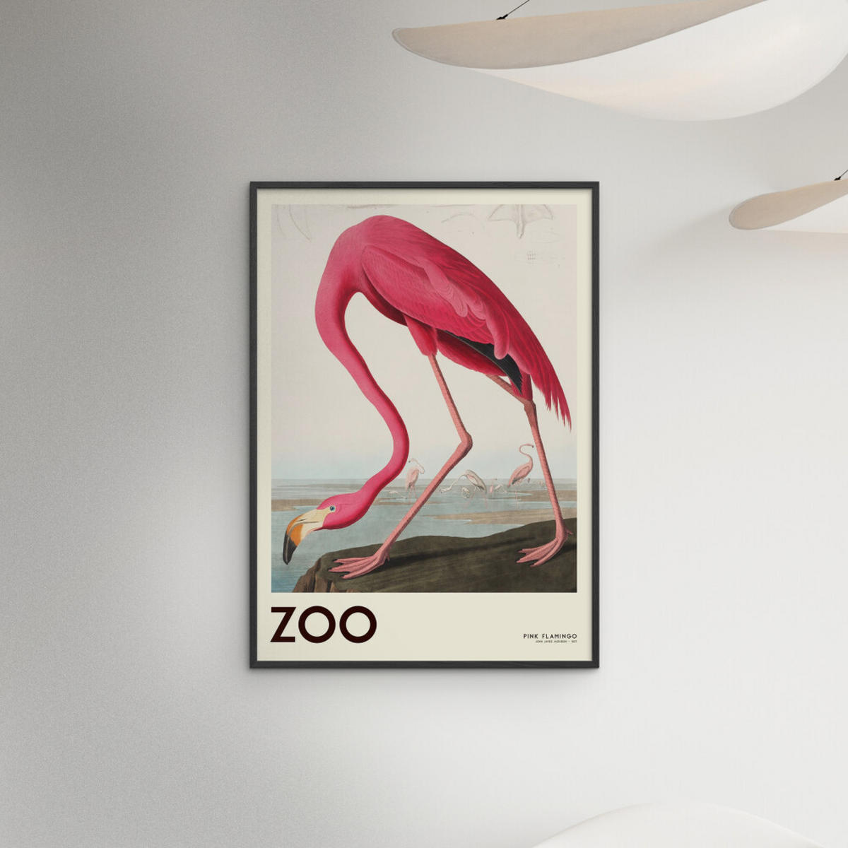 POSTER mit Rahmen A.P. Atelier - The Zoo Collection — Pink Flamingo — Edt. 001 - Pink/Schwarz, Holz/Papier (30/40cm) - Poster&Frame
