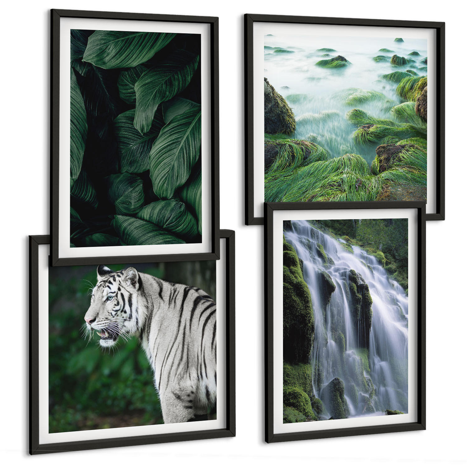 BILDER SET 4er Set - 50x50 cm & 40x60 cm Schwarzer Rahmen - Blätter des Weißen Tigerwasserfalls - Schwarz, Kunststoff (50/50cm) - TULUP