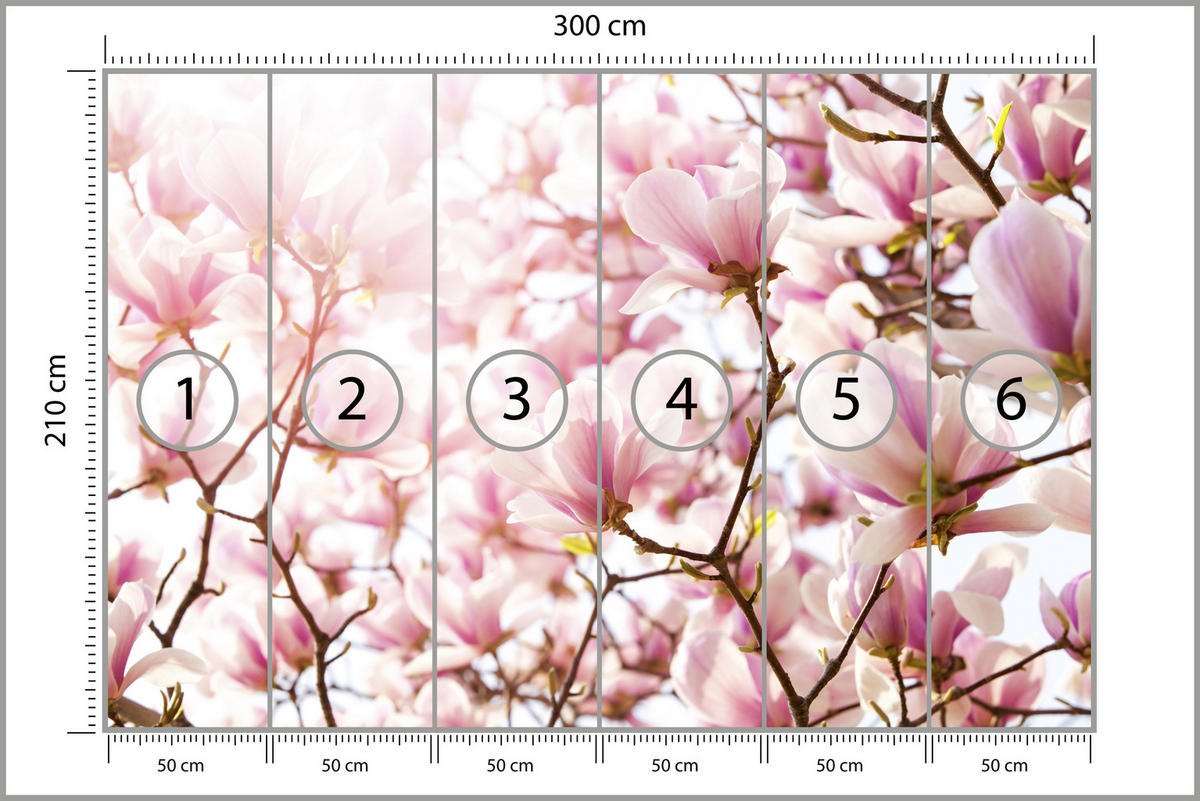 FOTOTAPETE für Schlafzimmer Rosa Magnolienblüten Floral Delikat 300x210 - Violett/Rosa, Papier (300/210cm) - Muralo