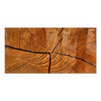 GLASPLATTE für Kamin 140x70 cm - Orange, Glas (140/70/0.4cm) - TULUP