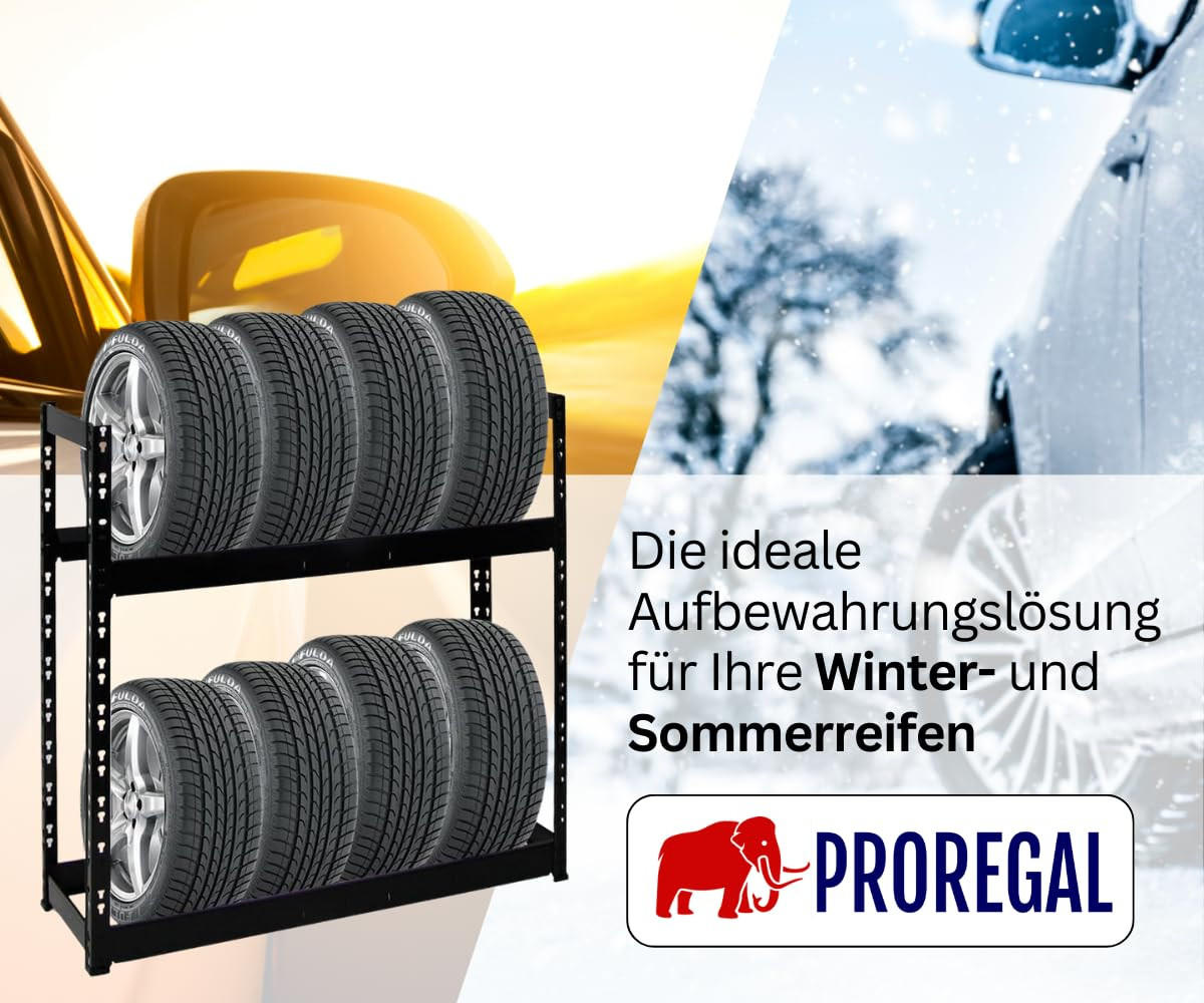 REIFENREGAL Tiger 100x110x35 cm 150 kg Fachlast bis zu 8 Reifen auf 2 Ebenen Schwarz - Schwarz, Metall (110/100/35cm) - PROREGAL