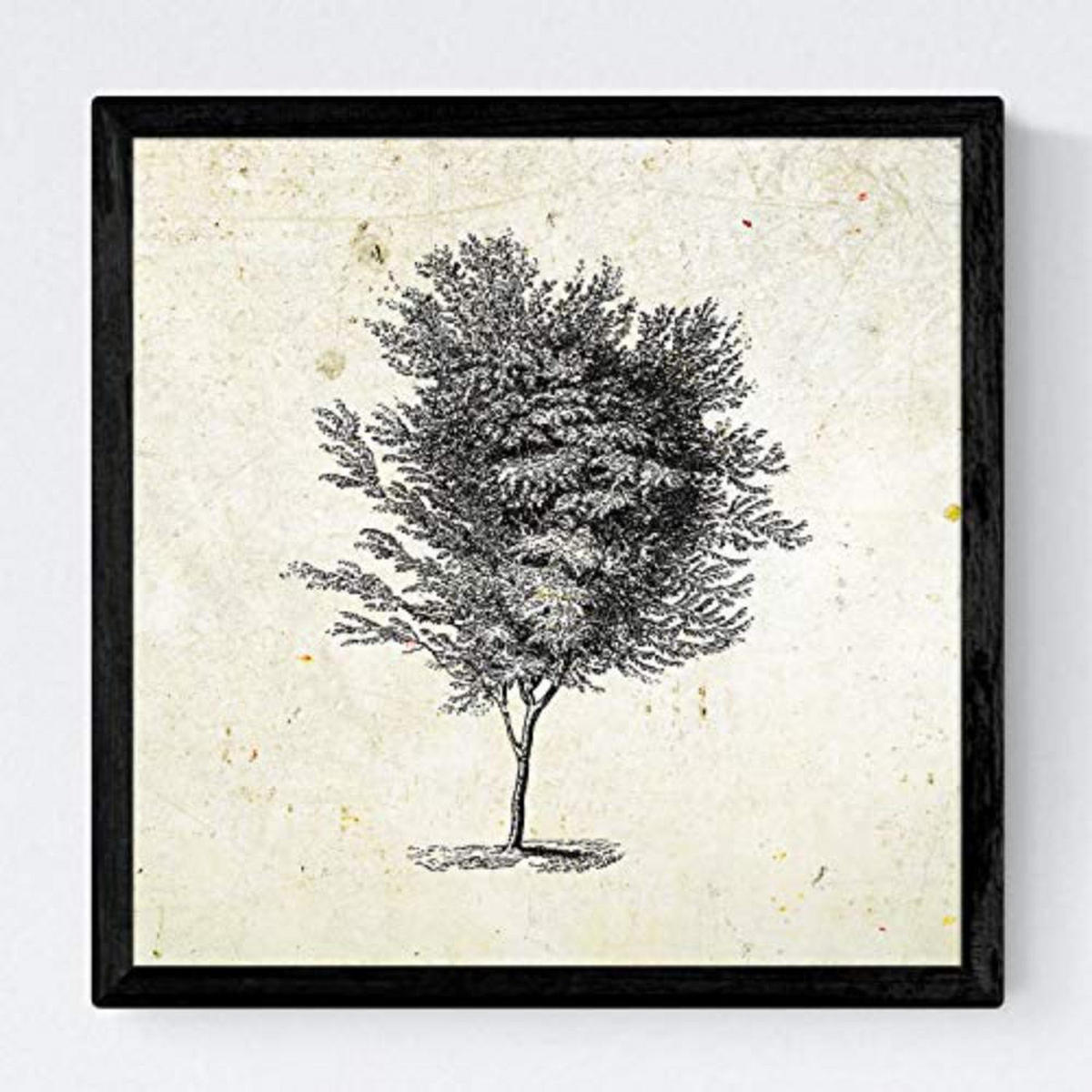 POSTER Set mit 4 Blättern der Grove Jahrgang Hintergrund 30x30 cm Rahmenlos - Klar, Papier (30/3cm) - Nacnic