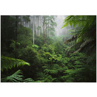 FOTOTAPETE Wald Dschungel Vliestapete Tapete 200x140 - Multicolor, Papier (200/140cm) - Wallarena