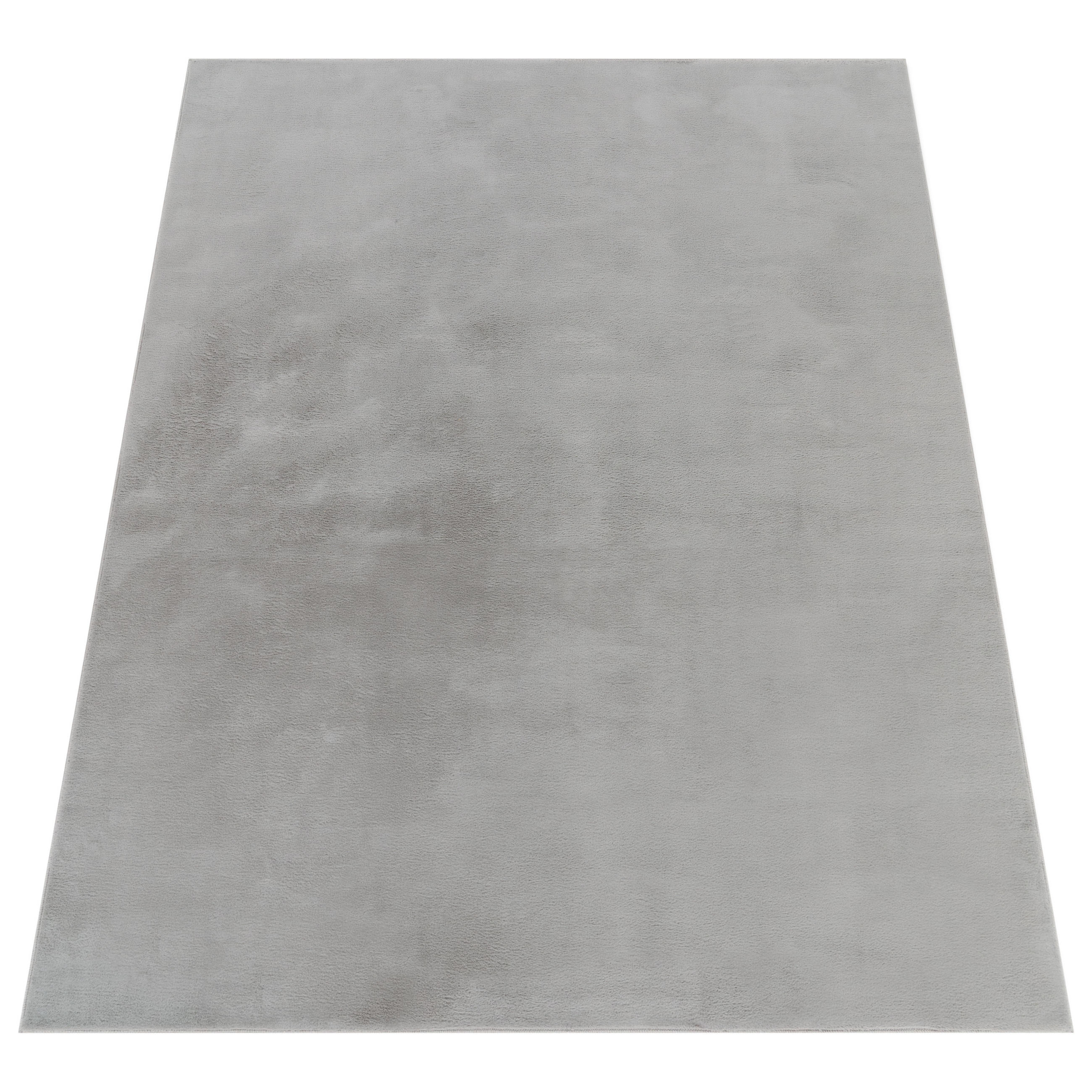 HOCHFLORTEPPICH 120/160 cm Soft 380 - Grau, Textil (120/160cm) - Paco Home