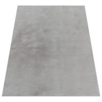 HOCHFLORTEPPICH 120/160 cm Soft 380 - Grau, Textil (120/160cm) - Paco Home