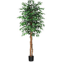 KUNSTPFLANZE Ficusbaum 180 cm mit Naturholzstamm - Grün, Holz (135cm)