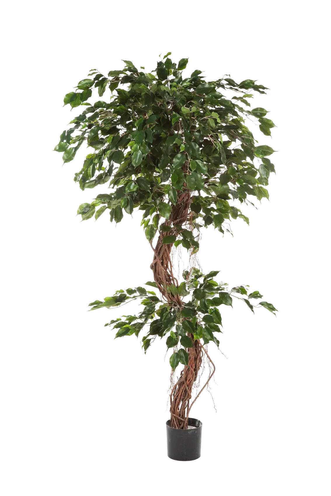 KUNSTBAUM Künstlicher Ficus - Joshua 210 cm - Grün, Kunststoff (210cm) - aplanta