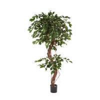 KUNSTBAUM Künstlicher Ficus - Joshua 210 cm - Grün, Kunststoff (210cm) - aplanta