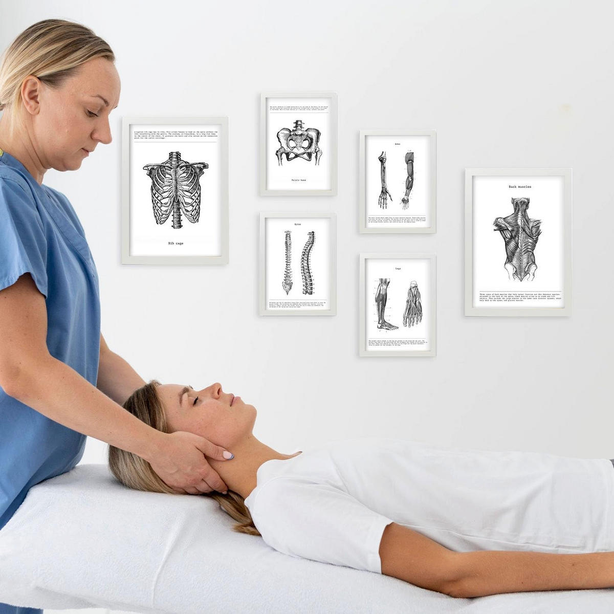 POSTER Set Mit 6 Anatomie Sammlung Von Platten Größe A3 und A4 Rahmenlos - Klar, Papier (29.7/1/42cm) - Nacnic