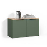 KOMMODE Piave Grün mit 2 Türen - Grün, Holzwerkstoff (80/50/40cm) - Livinity®