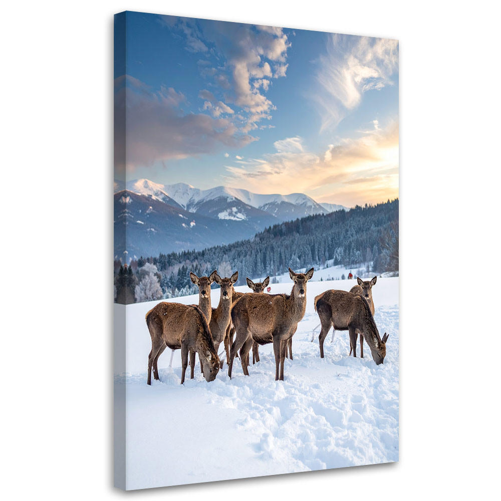 BILDER, Herde von Rehen im Winter - Blau, Textil (70/100cm) - Feeby