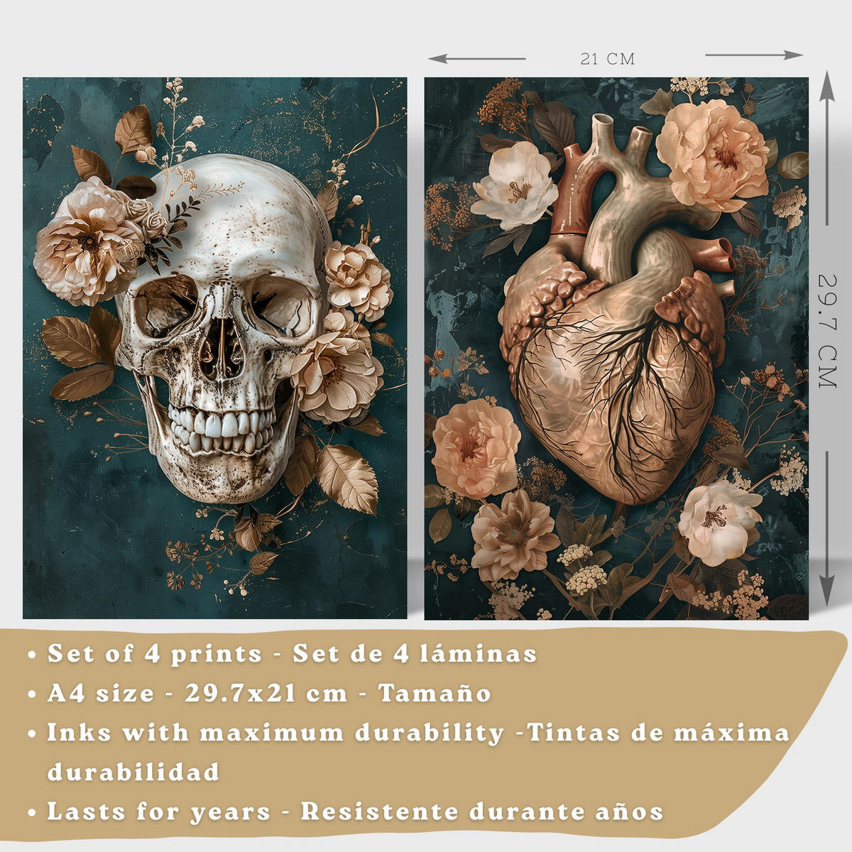 POSTER Set aus 4 Anatomie Drucke und mit Schädel Herz Gehirn Wirbelsäule Skelett Becken Klassisches Florales Design Größe Schwarzer Rahmen A4 - Schwarz, Papier (21/29.7/3cm) - Nacnic