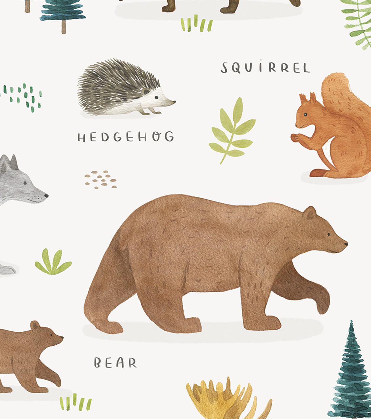 POSTER Tiere aus Europa, 30x40 cm - Multicolor, Papier (30/1/40cm) - Lilipinso