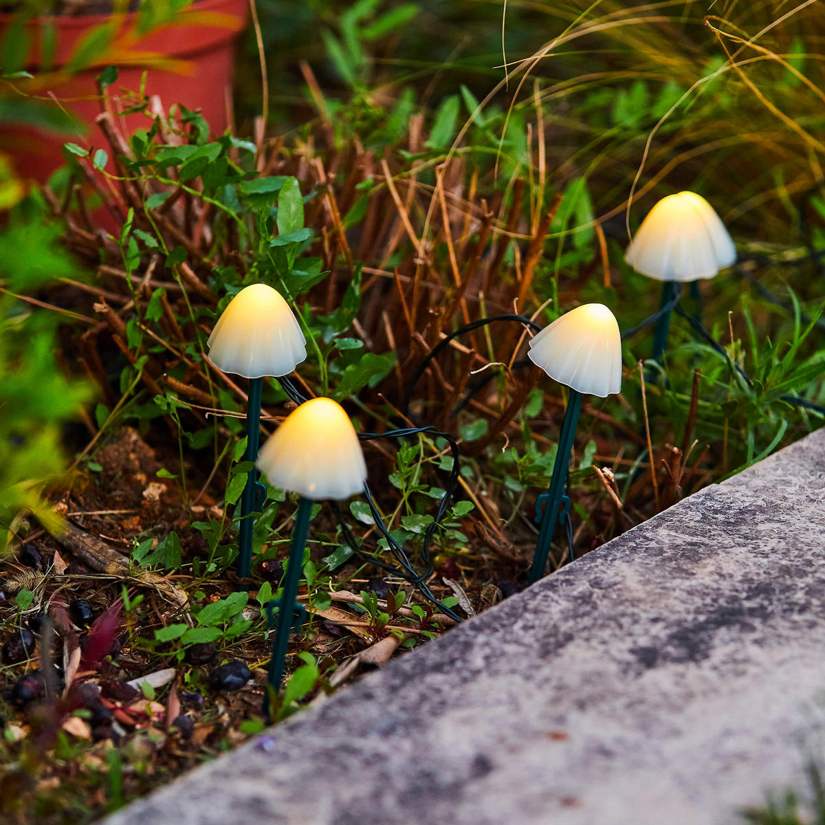 LICHTERKETTE CHAMPY weiß - Weiß, Kunststoff (380/1/20cm) - Lumisky