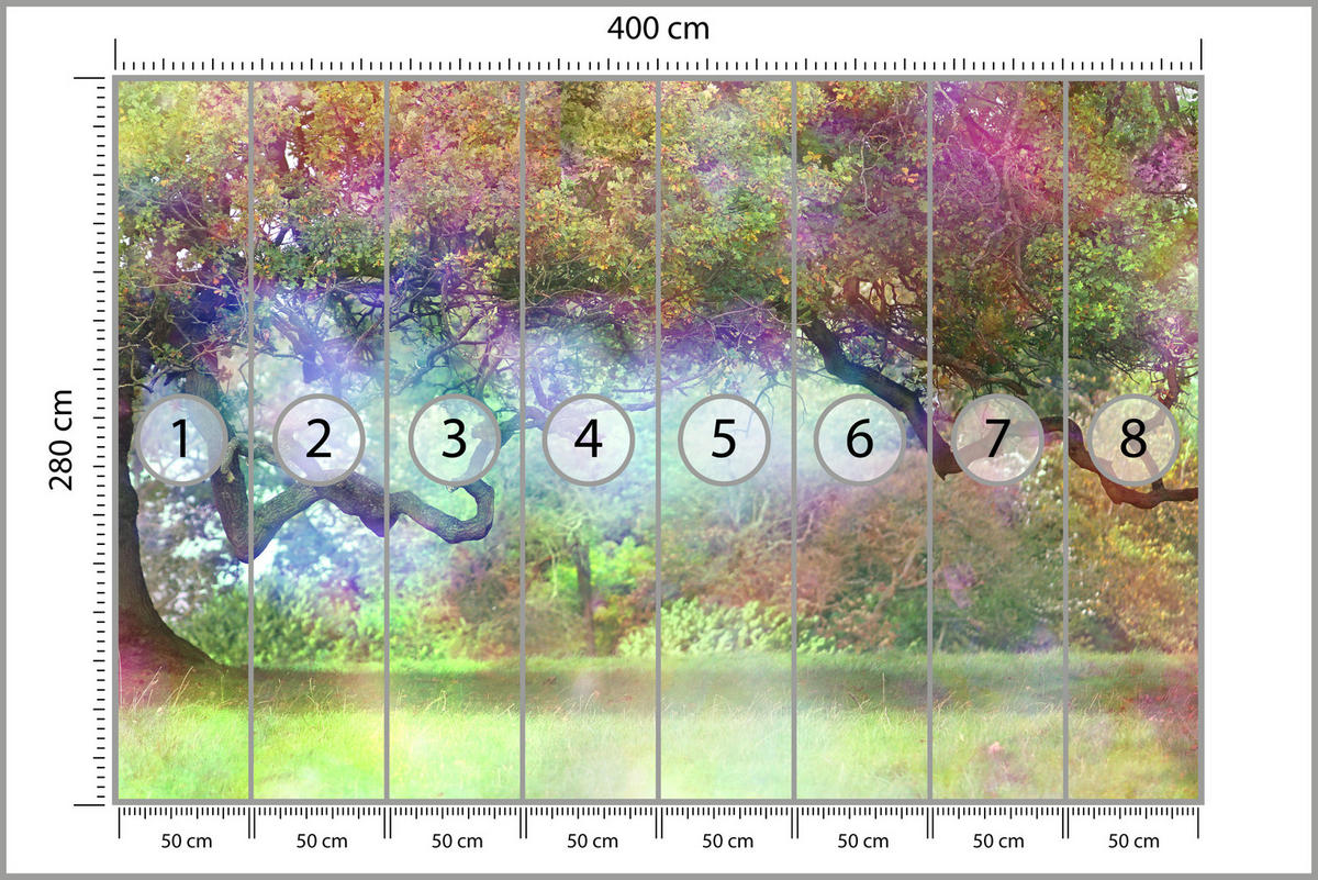 FOTOTAPETE für Kinderzimmer Magischer Bunter Wald Bäume Sträucher Blätter Pflanzen 400x280 - Gelb/Rot, Papier (400/280cm) - Muralo