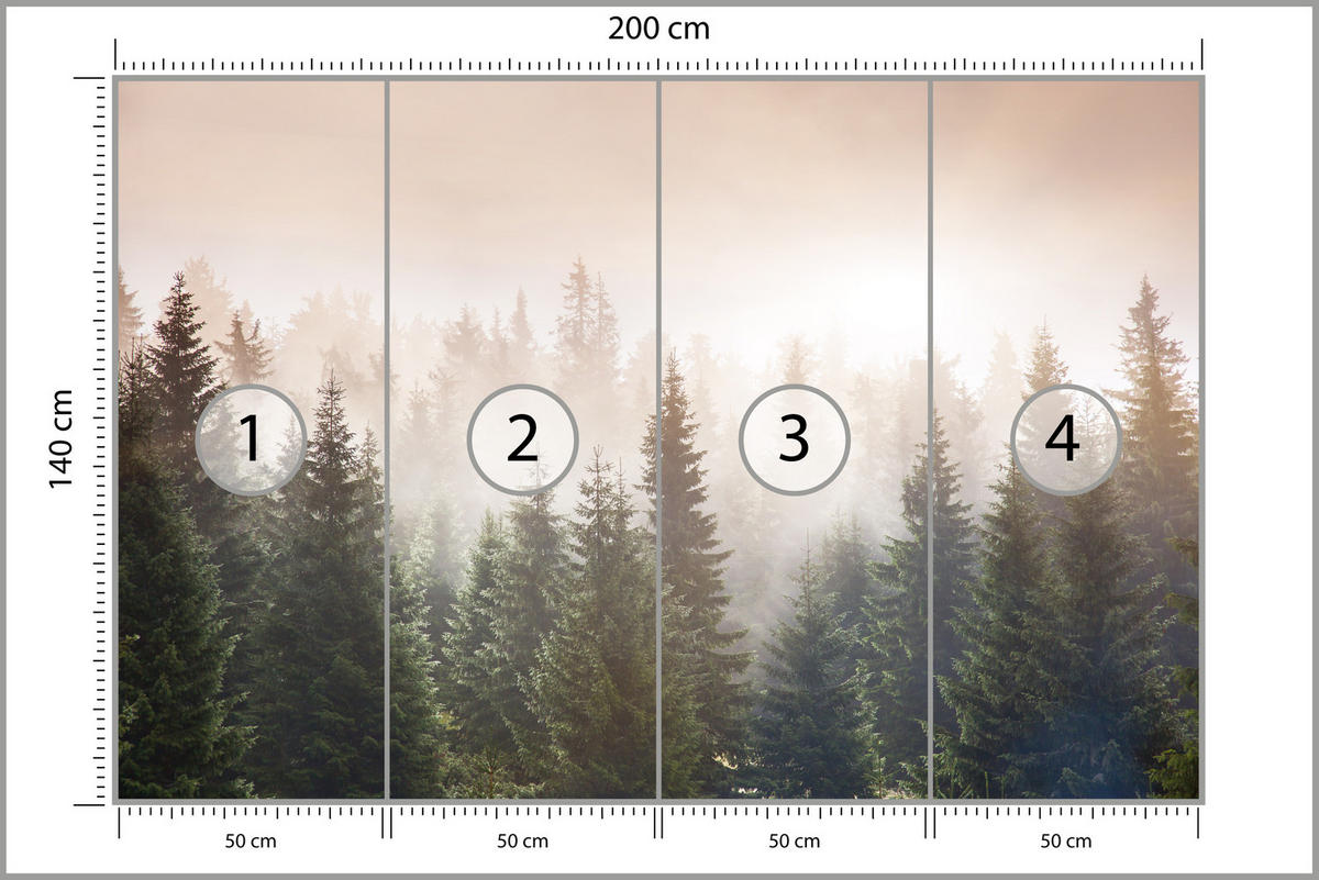 FOTOTAPETE für Wohnzimmer Nadelwald Bäume im Nebel Mystisch 200x140 - Orange/Braun, Papier (200/140cm) - Muralo