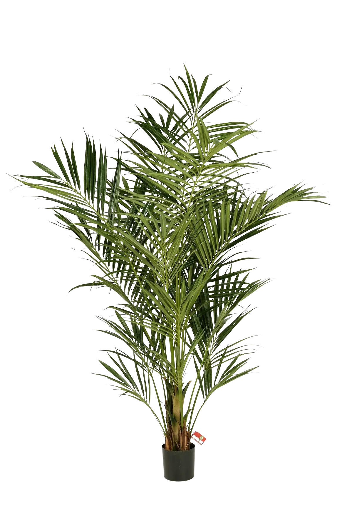 KUNSTBAUM Künstliche Kentia Palme - Cecilia 225 cm - Grün, Kunststoff (225cm) - aplanta