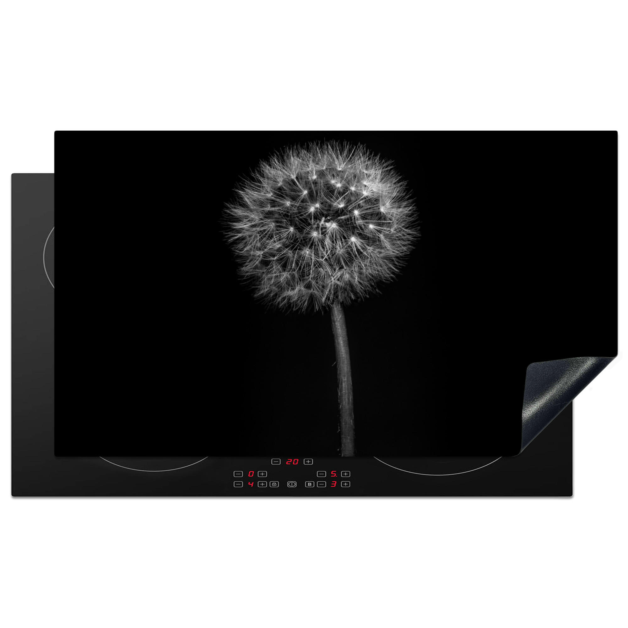 HERDABDECKPLATTE Löwenzahn - Schwarz - Floral - Botanisch 91x52 cm - Grau, Kunststoff (91.2/0.2/52cm) - MuchoWow
