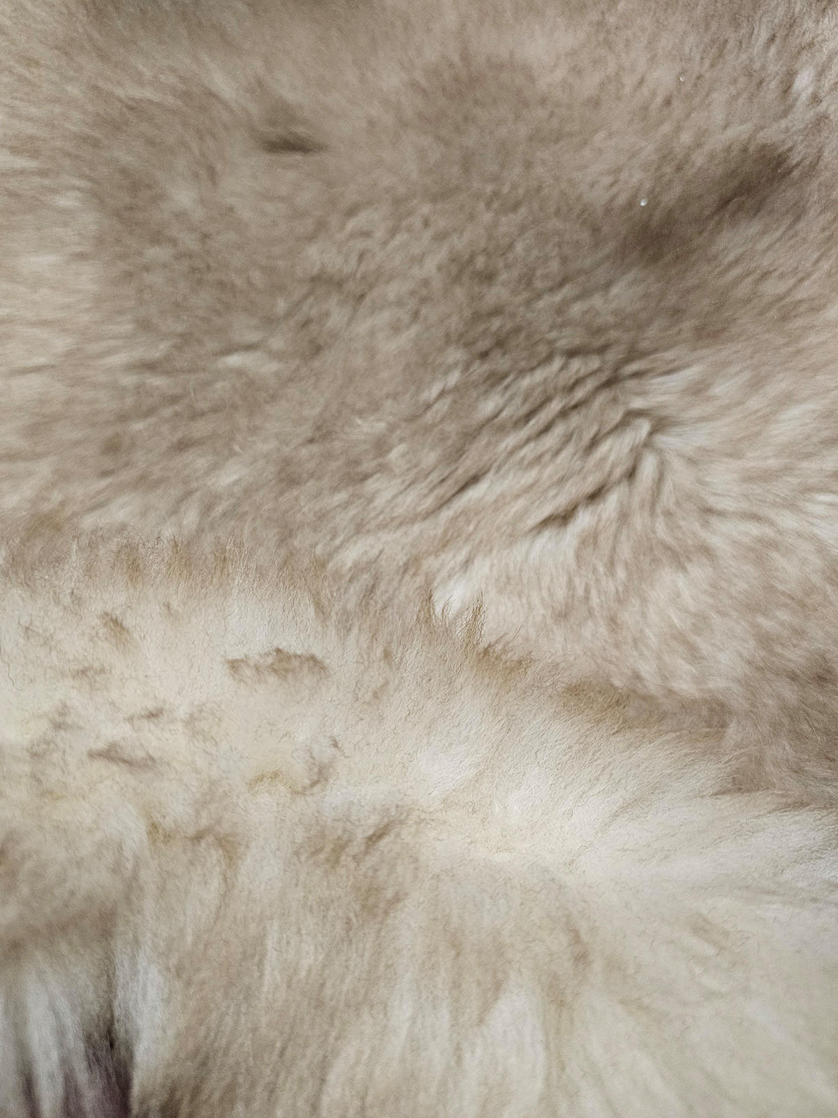 SCHAFFELL Naturbraun mit dunklen Spitzen ca. 110 cm - Dunkelbraun/Braun, Fell (60/110cm) - Provellus