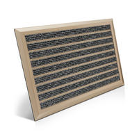ALU-FUSSMATTE AluGant DL - Champagner, Metall (60/40cm) - BoMoe