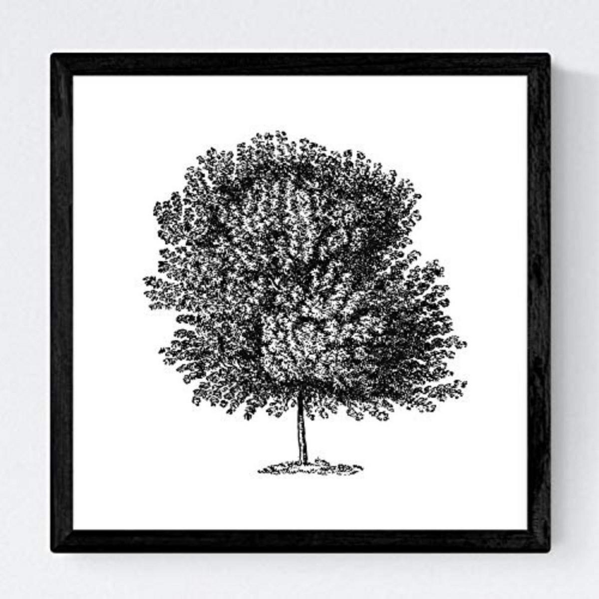 POSTER Set mit 4 Blättern der Baumstämme weißer Hintergrund 20x20cm Schwarzer Rahmen - Schwarz, Papier (20/3cm) - Nacnic