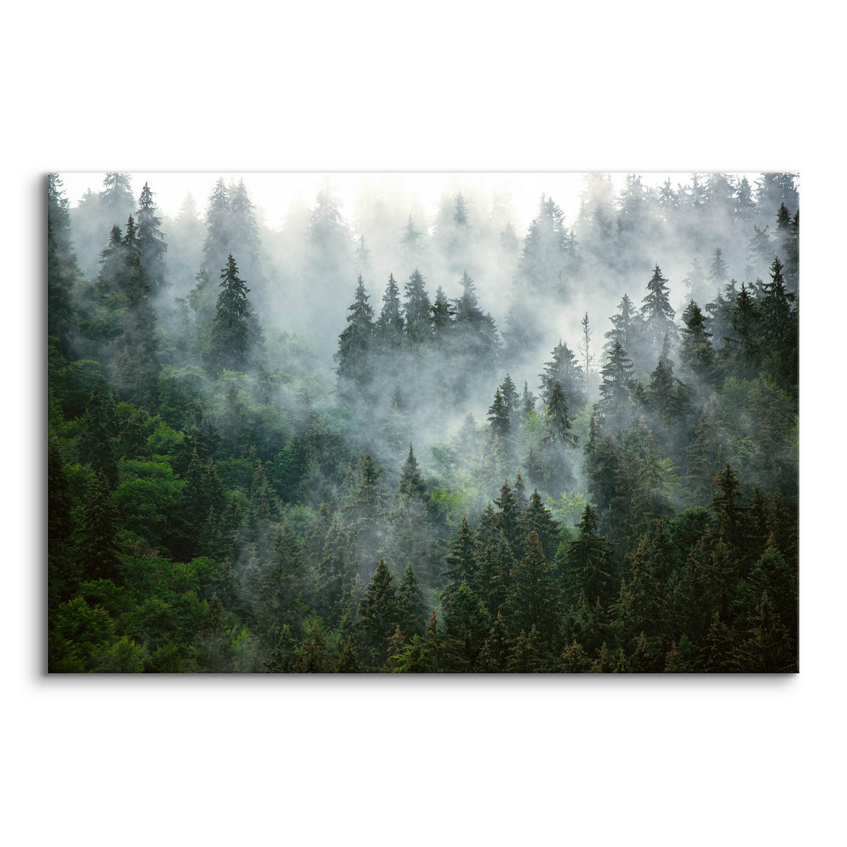 LEINWANDBILD Wald im Nebel Landschaft 3D 120x80 - Schwarz/Grau, Textil (120/80cm) - Muralo