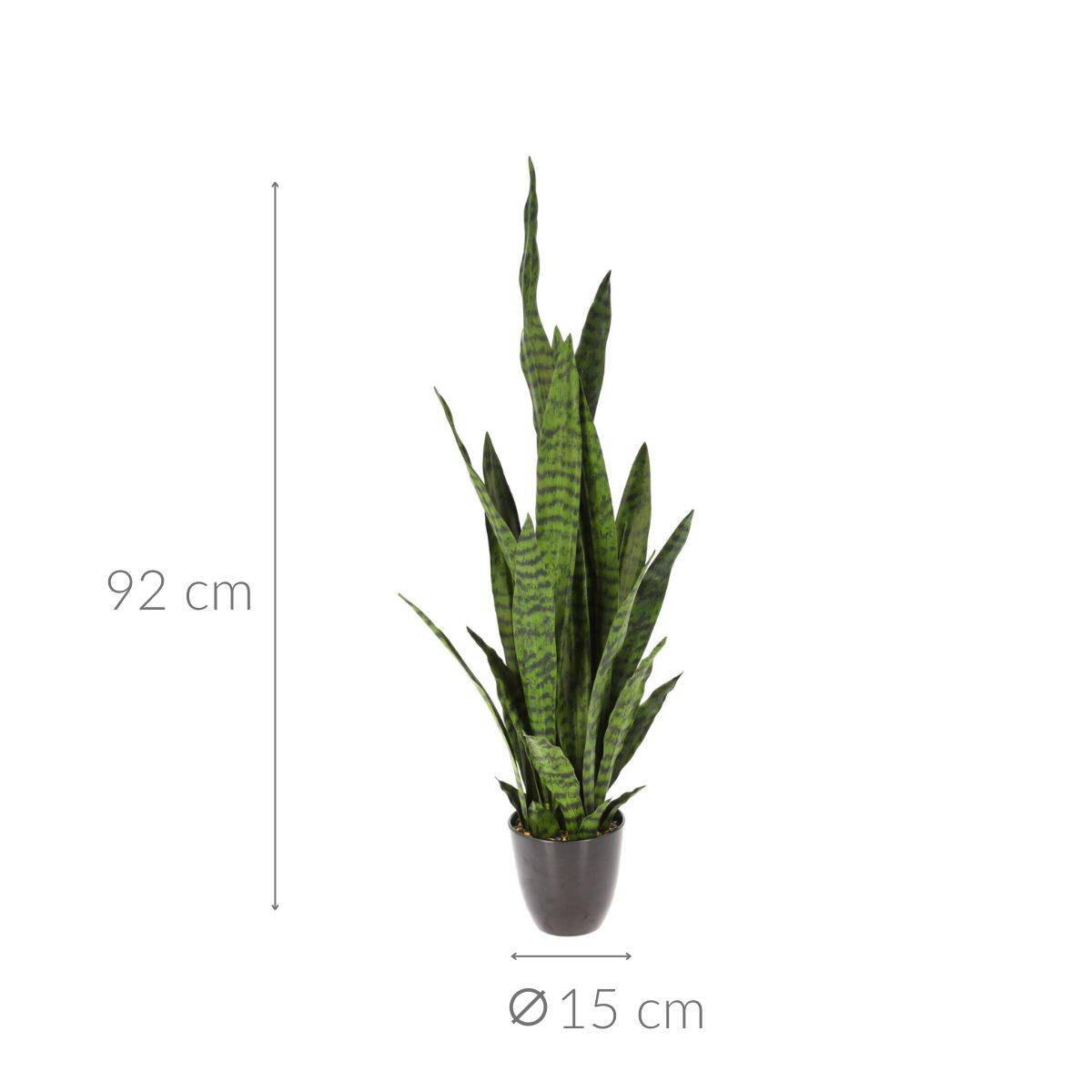 ZIMMERPFLANZE Sansevieria 92 cm - Grün, Kunststoff (92cm)
