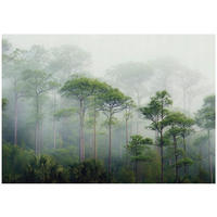 FOTOTAPETE 3D Effekt Wald im Nebel 400x280 - Multicolor, Papier (400/280cm) - Wallarena
