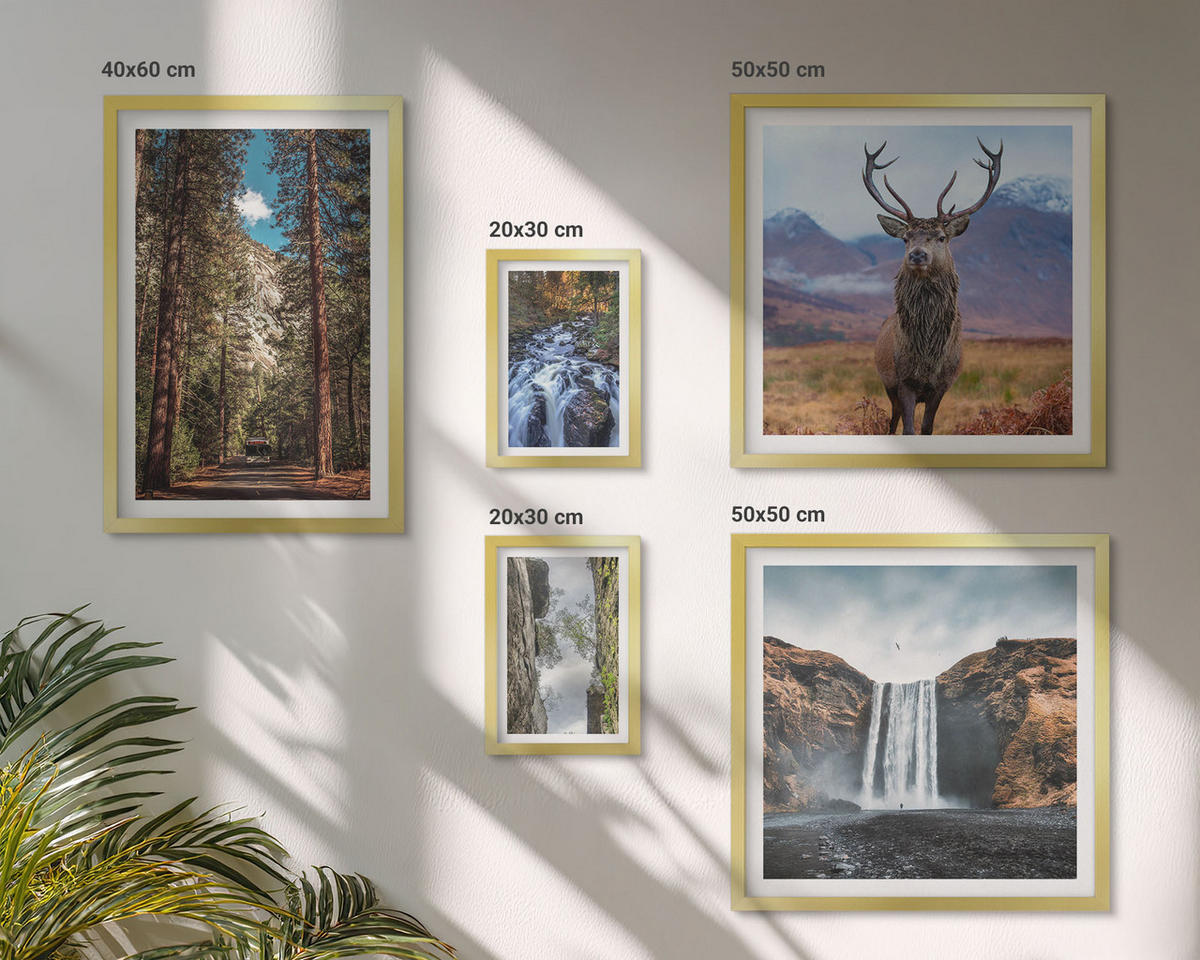 BILDER SET 5er Set - 50x50 cm & 20x30 cm & 40x60 cm Goldrahmen - London-Ansichtsgemälde-Set - Goldfarben, Kunststoff (40/60cm) - TULUP