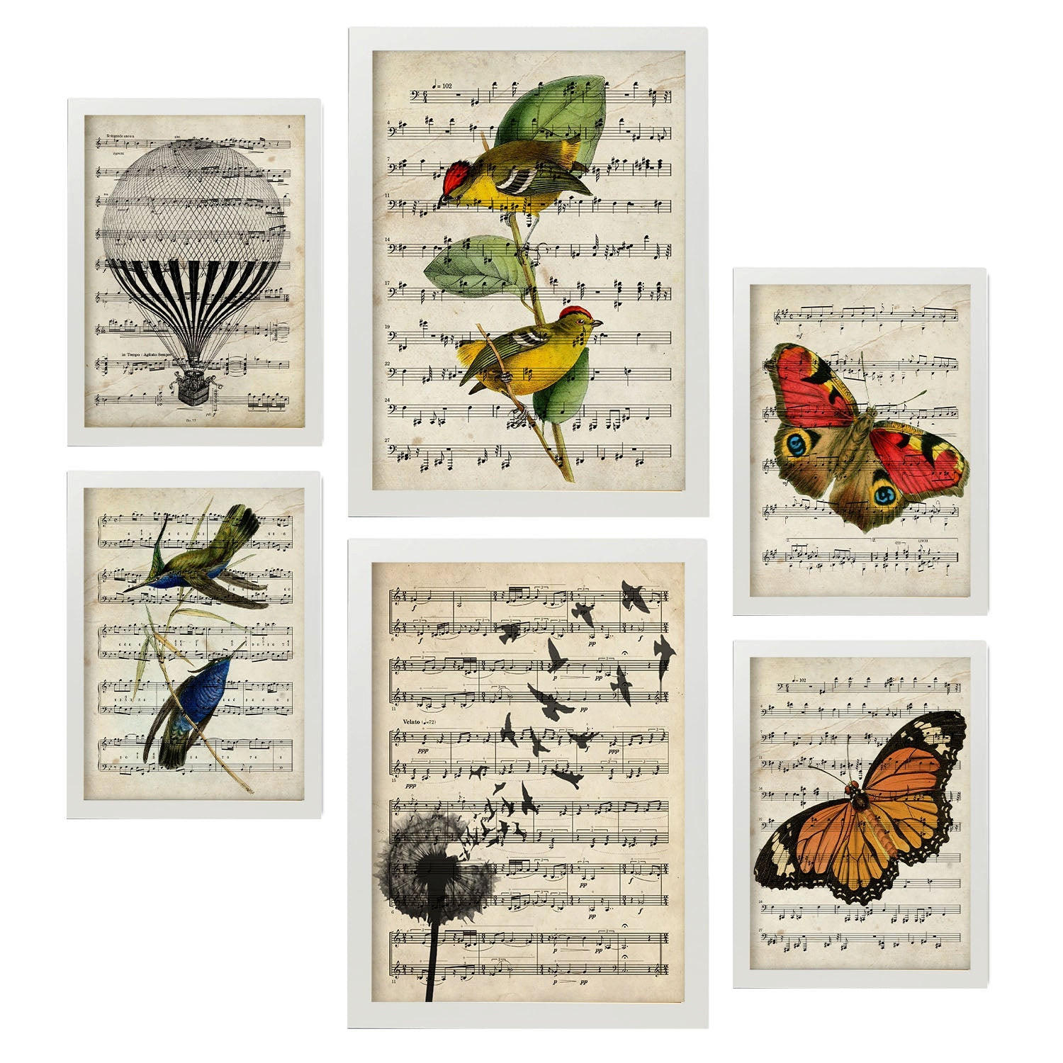 POSTER Set Mit 6 Noten Vintage Papier Stil Plakate Mit Enzyklopädie Hintergründen Natur Und Flug, Vögel Und Schmetterlinge A3 & A4 Weißer Rahmen - Weiß, Papier (29/3cm) - Nacnic