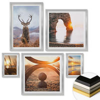 WANDBILDER 5er Set - 50x50 cm & 20x30 cm & 40x60 cm Silberner Rahmen - Blätter des Weißen Tigerwasserfalls - Silberfarben, Kunststoff (40/60cm) - ArtPrintCave